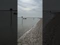 Spiaggia Milano Marittima #romagna #milanomarittima #alluvione #rami #fiume #savior