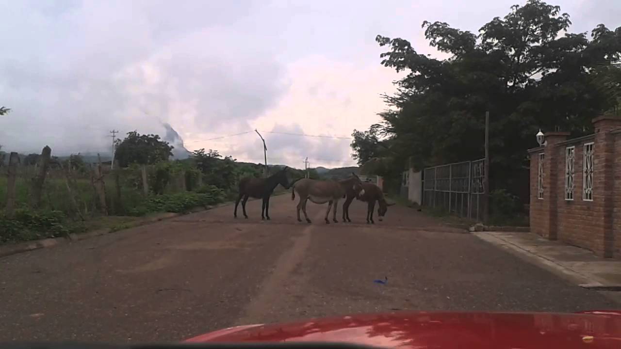 DE PASEO A SAN JERONIMO EL GRANDE, MPIO. DE AJUCHITLAN DEL PROGRESO