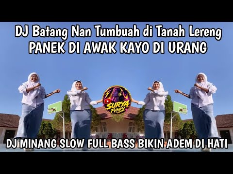 DJ BATANG NAN TUMBAUH DI TANAH LERENG || DJ MINANG SLOW FULL BASS VIRAL TIKTOK BIKIN ADEM DI HATI
