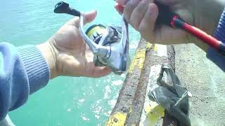 PERTAMA KALI COBA MANCING PAKAI RAWAI, TERNYATA BISA BIKIN KETAGIHAN screenshot 3