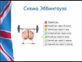 Надежда Смидович "Схема Эббингауза и метод 90 сек".