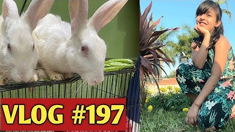 Cutie and Pie  Aaj Ghar Aaye😊| Vlog #179 #babinayoutuber #learnwithpriyanshi