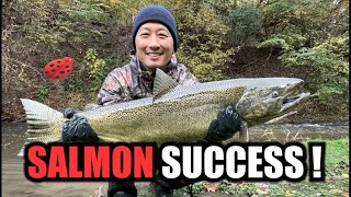 4 Techniques to catch salmon in Ontario Tributaries- 2023 by Ladybug Adventures 180 views 6 months ago 11 minutes, 55 seconds