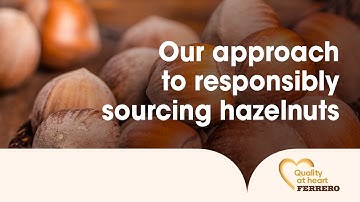 Our approach to responsibly sourcing hazelnuts | Quality at heart