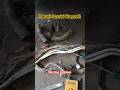 Maruti Suzuki WagonR starting problem ##crank sensor wairing cut ## crank sensor wiring check #