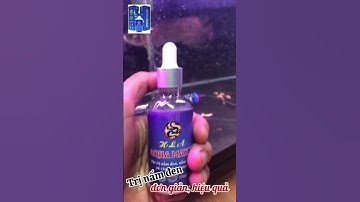 Hướng dẫn trị nấm đen cá rồng #aquamaxv #cárồnghoànglam
