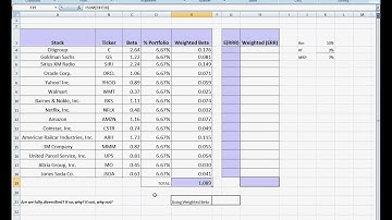 Portfolio Beta & Capital Asset Pricing Model.avi