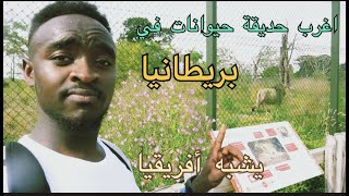 اكبر و اغرب  حديقة للحيوانات البرية في بريطانياChester zoo/