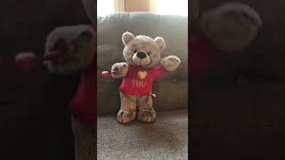 Gemmy candy spinning teddy bear