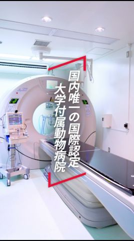 學長がいく!生物資源科學部・動物病院編