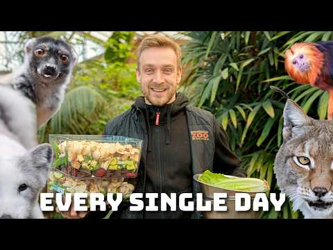 How to feed 600 exotic rescue animals without it turning into chaos