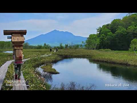 Video: Yakushima Ulusal Parkı: Eksiksiz Kılavuz