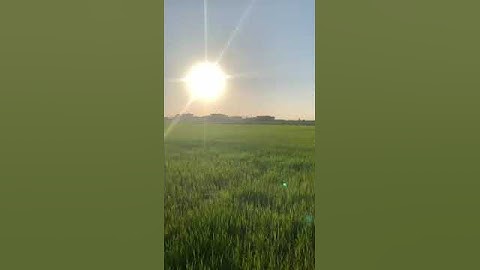 إن فى ذالك لذكرا ما تيسر من سوره الزمر بصوت القارئ حماده محمد عبد العزيز