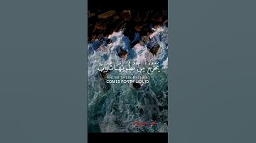 وأوحى ربك إلى النحل سورة النحل إدريس أبكر #القران_الكريم