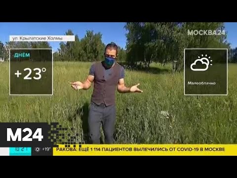 "Утро": влажность воздуха в столице 22 июня составит 55% - Москва 24