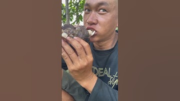 Cá rô phi khủng Lồ Nướng đãi khách p cuối #dongque #mientay #amthuc #monngon #donuong #mónănvùngquê