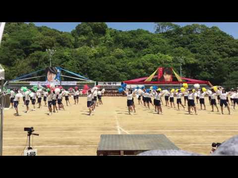 平成28年度天草高校体育大会_２年女子天草小唄