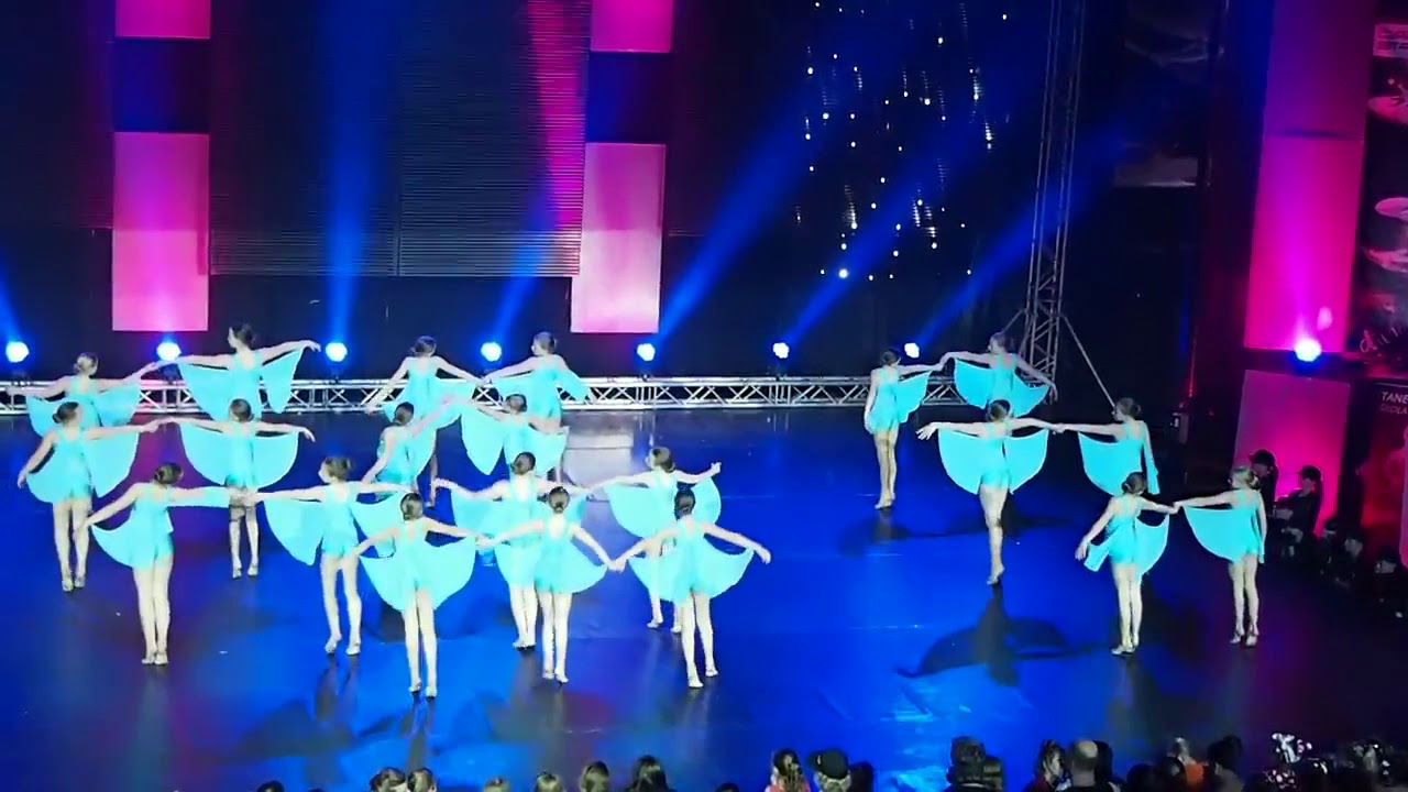 PS Hroch Pardubice - Neodcházej - MČR TSR 2013 - Dance art - Děti