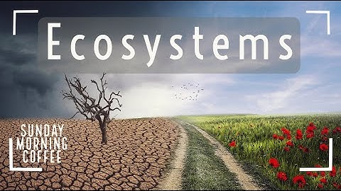 Ecosystems of the World - SUNDAY MORNING COFFEE - AQA GCSE 9-1 Geography 2021