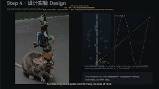 This 2026 Science Paper Uses Your Brain's Spotlight to Explain Memory  Learn English with Frontier