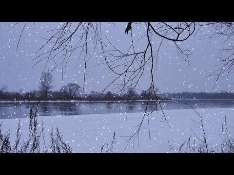 Beautiful snow storm, river bank. Winter landscapes and views.  Sounds of snowfall, wind, (no music)