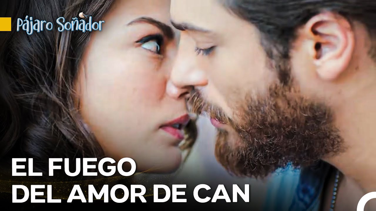 Si Te Beso En Medio De La Oficina, ¿Qué Puedes Hacer? - Pájaro Soñador