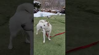 산정호수겨울여행(산정호수펜션-별빛하늘펜션)