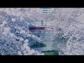 感傷ベクトル / 桜 (Lyric video)