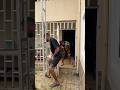 Afrodance Afro Travel Music Newmusic Viralvideo Comedy Amapianotv Afrohouse Dance Afrodance Afro Travel Music Newmusic Viralvideo Comedy Amapianotv Afrohouse Dance