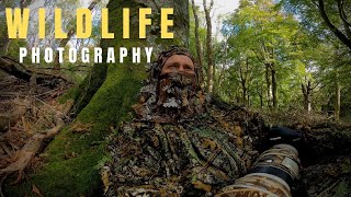 WILDLIFE PHOTOGRAPHY | RED DEER Pt 1 | Photographer behind the scenes | Canon 1DX Mk 2 - 300mm F2.8