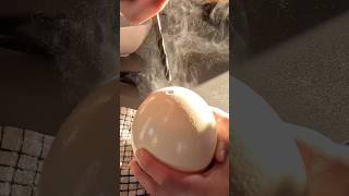 The making of an Ostrich omelette