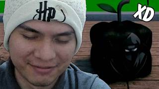 Banearon a TODOS los TRAMPOSOS de Blox Fruits...