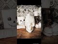 Spooky Vibes: Skulls, Skeletons &amp; Stranger Things – Get 20% Off New Arrivals!