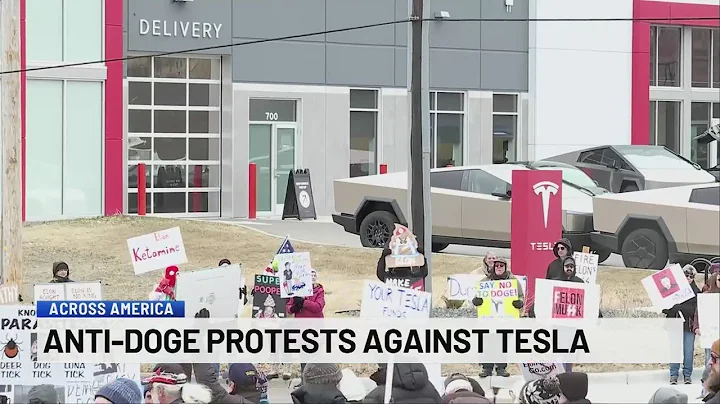 Anti-DOGE protests against Tesla