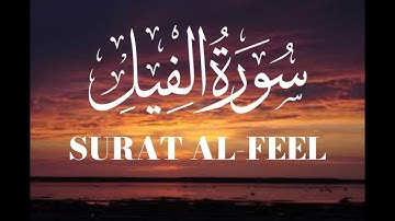 SURAT AL-FEEL|سورة الفيل|AL-QURAN|TAHA AL-JUNAYD