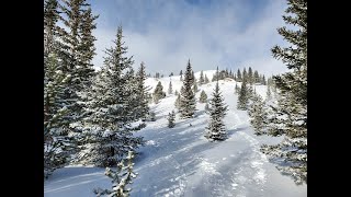 Colorado Christmas - cover by Tim Lewis