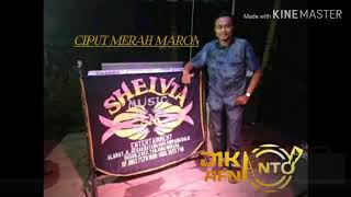 SHELVIA MUSIC - KAKANDA DANGDUT KN7000