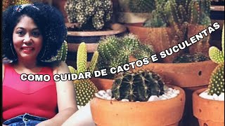 7 Dicas De Como Cuidar De Cactos E Suculentas