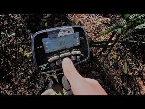 treasure coast flight training Metal Detecting Orange Grove Old 1800'S House Site Ruins