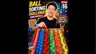 Asmr Live The Da-da-da sound of wood