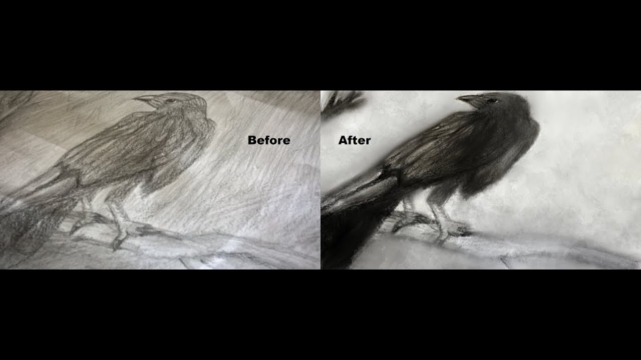 Fixing My Old Art - Crow Speedpaint - YouTube