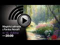Magická zahrada | Pavla Nevařil | Záznam livestreamu