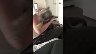 Tickle Monster Giggles And Hugs And Kisses