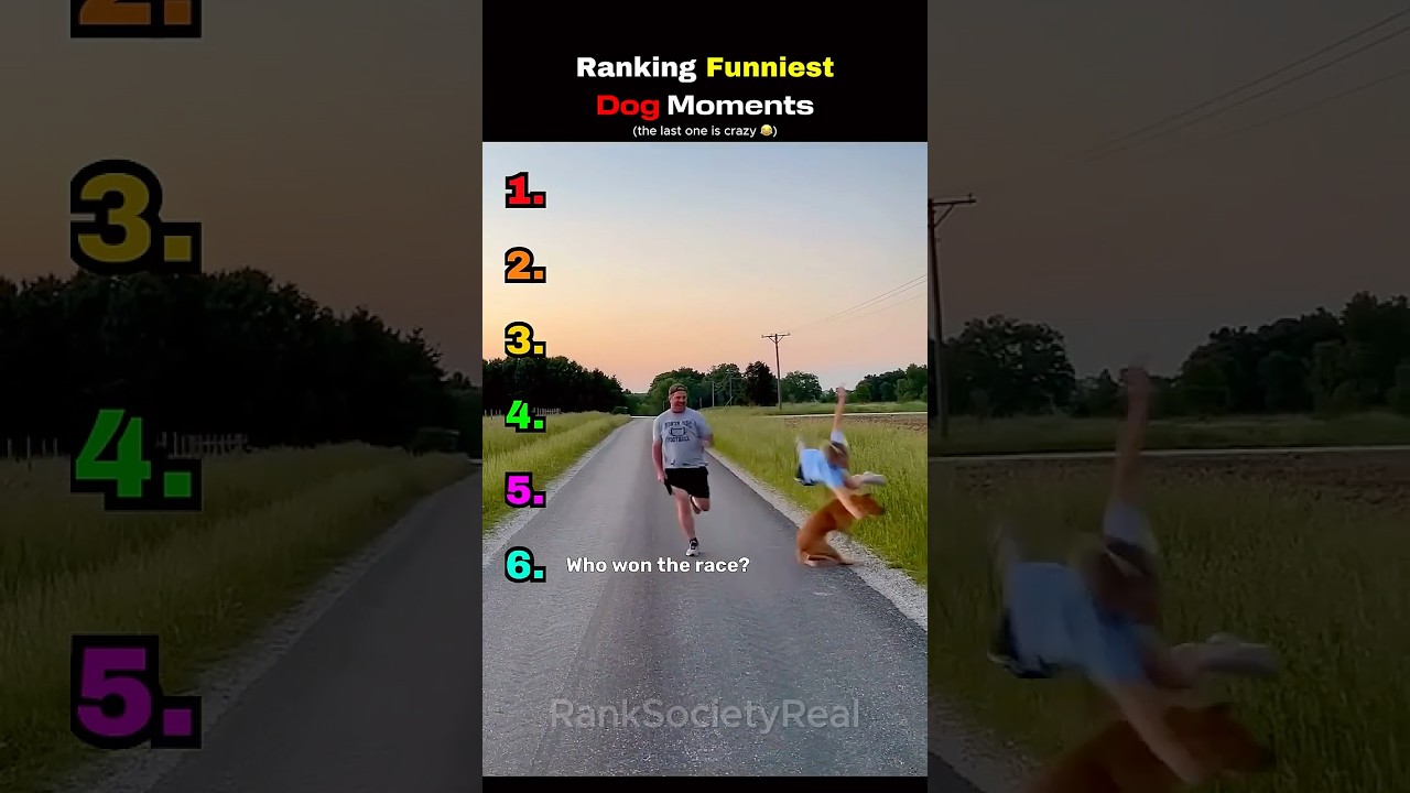 Ranking The Funniest Dog Moments 🐶😂 #dogs #shorts #viral #funny #cute #dogfails #petfails