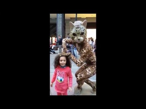 بتولا و القط البري في تايبيه - Batoul and wild cat in Taipei