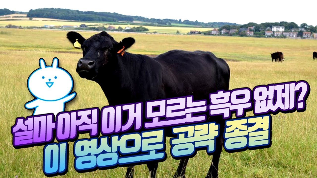 설마 아직도 이거 모르는 흑우 없제? 이 영상보시고 챙길것 챙겨!