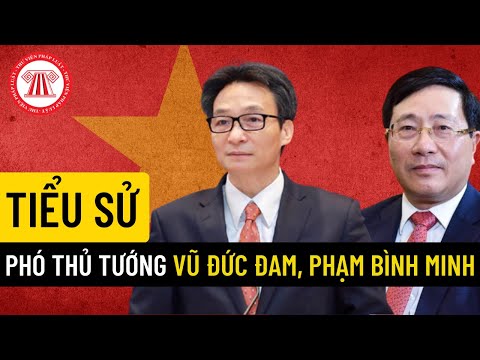 Tiểu Sử Phó