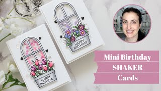 Mini BIRTHDAY SHAKER Cards