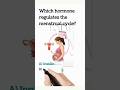 Which hormone regulates the menstrual cycle? #healtheducation #healthylifestyle #fypシ゚v #disease