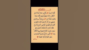 سورة الفتح #اكسبلور #دويتو #duet #عيد_مبارك #dosa #تيك_توك #لايك #في #answer